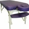 AFDLX2/P | Deluxe - Purple -Pool Care Sales Shop AFDLX2 P AFDLX2 P 244816 AFDLX2P 21