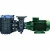 BPG553 | 5.50hp (4.1kw) - 3Ø Commercial Giant Pump - 230/400v -Pool Care Sales Shop BPG553 BPG553 260076 BPG403 22