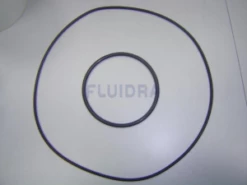 CE05011608 | Hurricane Pump Mechanical Seal