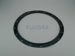 SPAF001 | Lid O Ring